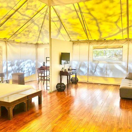 Hyla Nature Retreat Hotel San José Pinilla Eksteriør billede