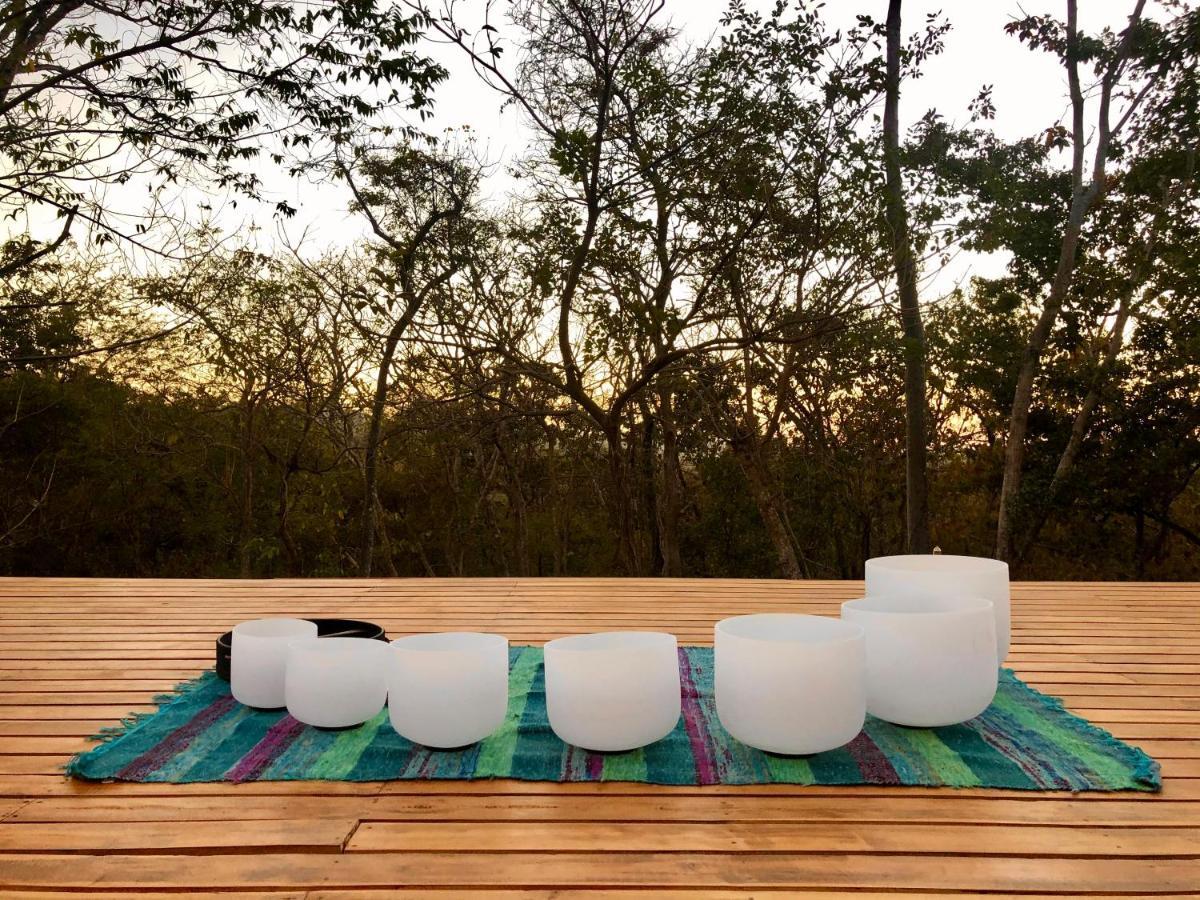 Hyla Nature Retreat Hotel San José Pinilla Eksteriør billede