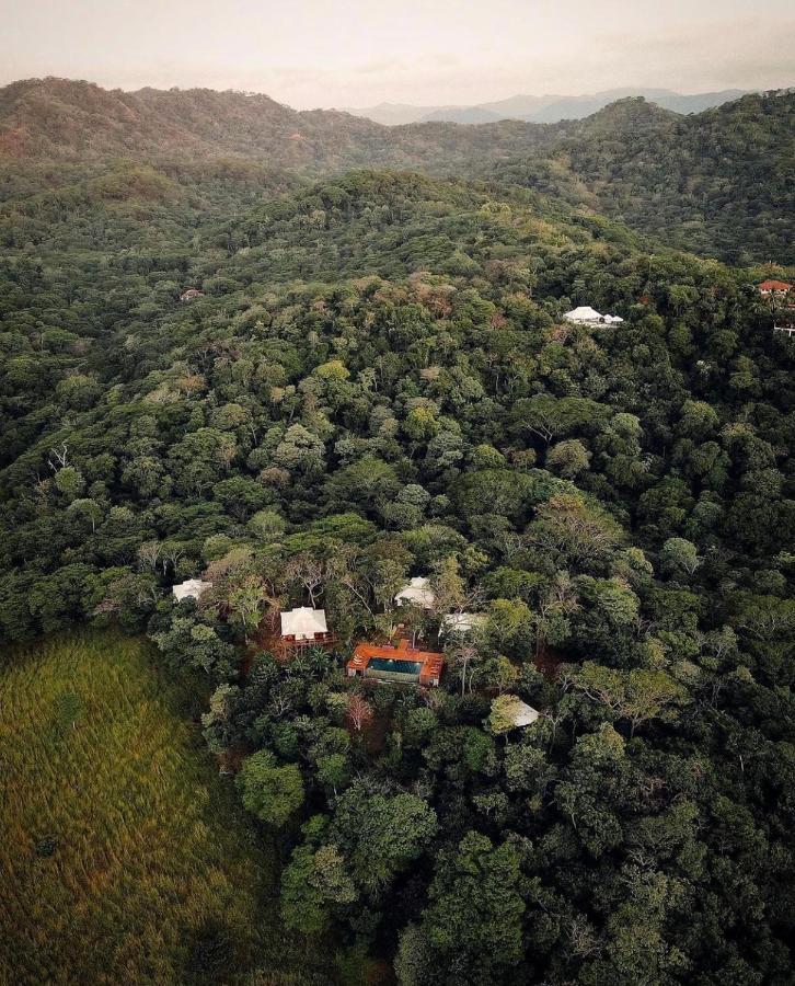 Hyla Nature Retreat Hotel San José Pinilla Eksteriør billede